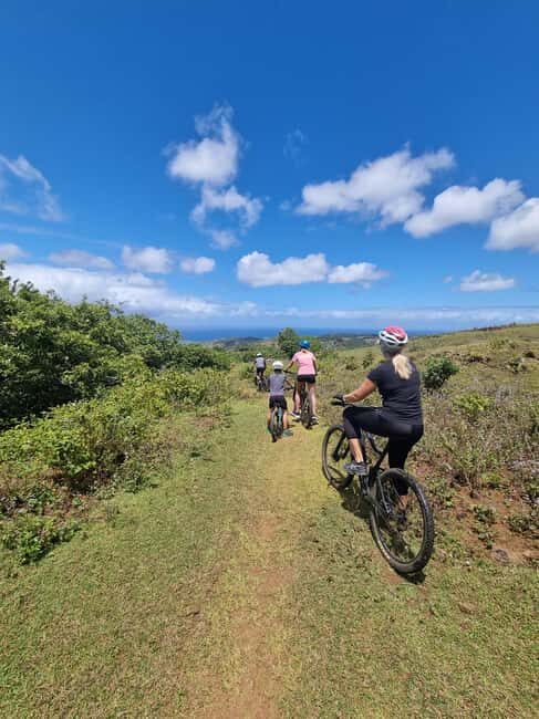 Mauritius: Scenic Bike Trails with Gear & Shuttle - Final Thoughts