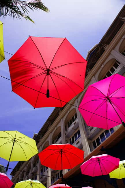 Mauritius: Snorkeling with Turtles & Port Louis Street Food - An in-Depth Look at the Tour Experience