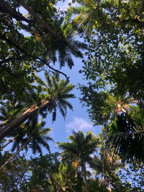 Mauritius: South of Mauritius VIP Quad Tour - Key Points