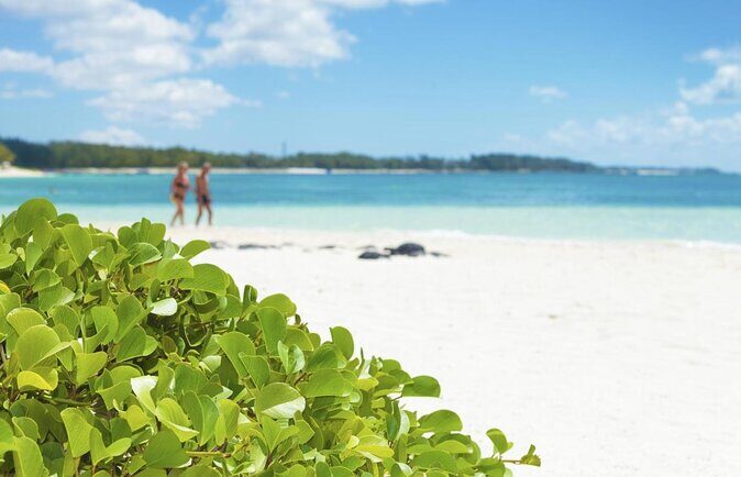 Mauritius South Tour Including Blue Bay Glass Bottom Boat & Snorkelling - Key Points