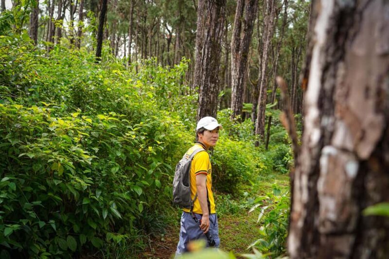 Mauritius: Sunrise Mountain Hike with Southwest Road-trip - Key Points