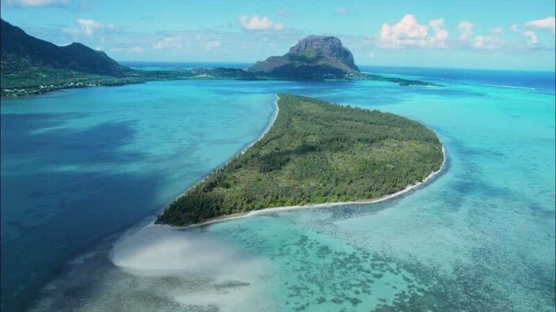 Mauritius: Swim with Dolphins Full-Day with Lunch/Drinks - Key Points