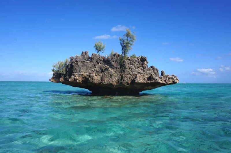 Mauritius: Swim with Dolphins Full-Day with Lunch/Drinks - A Balanced Look at the Itinerary