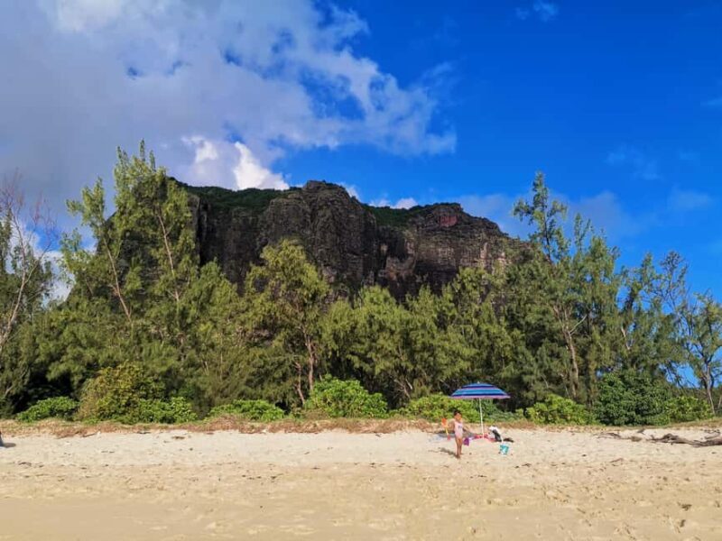Mauritius: Tamarin Bay, Black River Gorges and Chamarel Tour - Key Points