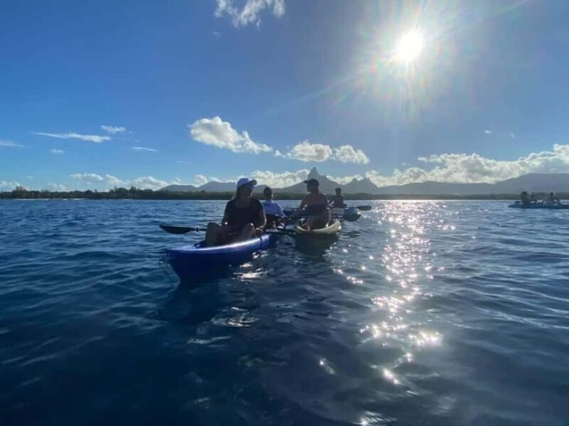 Mauritius: Tamarin Bay Dolphin Watching Kayak Tour - The Experience in Detail