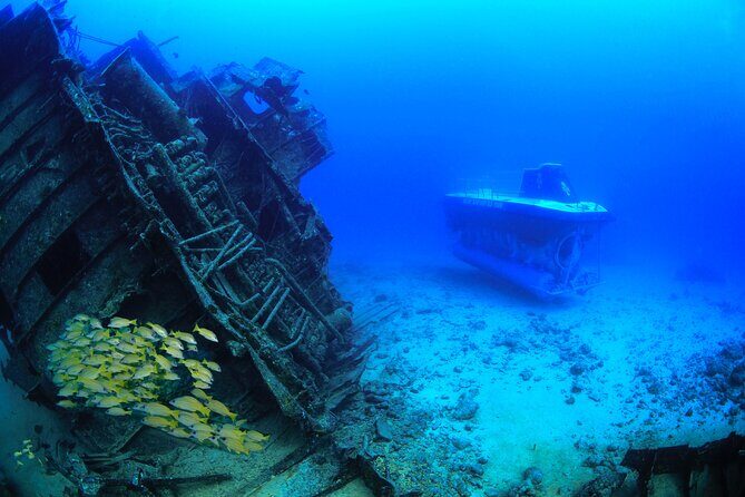 Mauritius Unique Submarine Tour - An In-Depth Look at the Mauritius Unique Submarine Tour