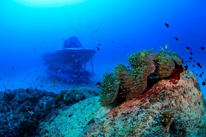 Mauritius Unique Submarine Tour - Why You Should Consider This Tour