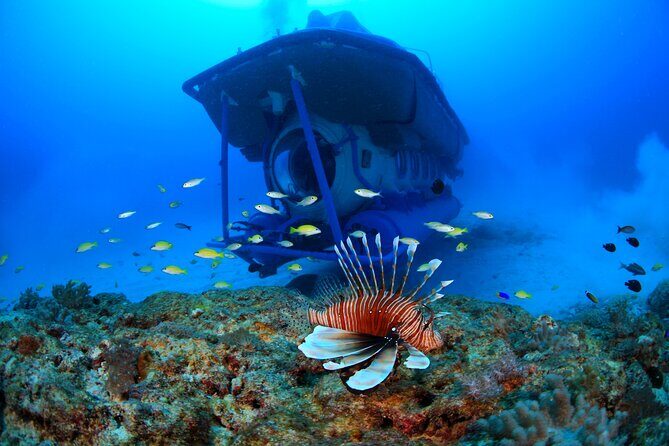Mauritius Unique Submarine Tour - Frequently Asked Questions