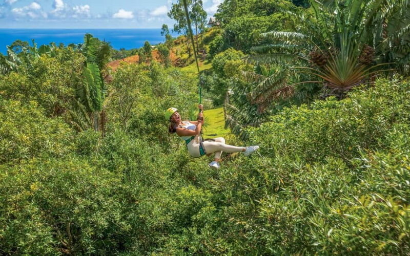 Mauritius: Vallé Advenature Park - Adventure Tour Zipline - Who would love this zipline adventure?  