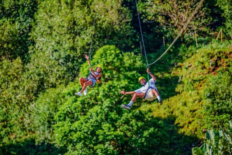 Mauritius: Vallé Advenature Park - Sky Pulse - Key Points