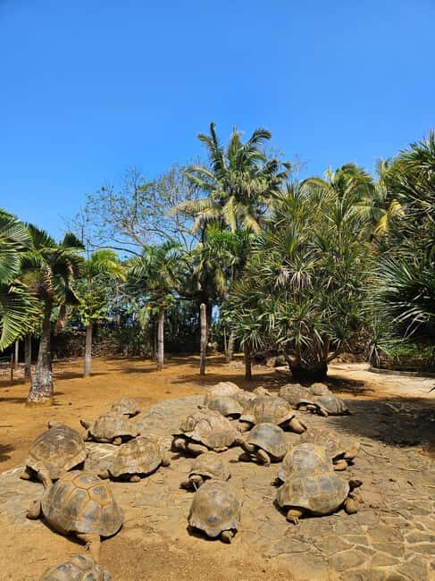 Mauritius: Vanilla Park & Beaches Tour with Extra Option - Final Thoughts