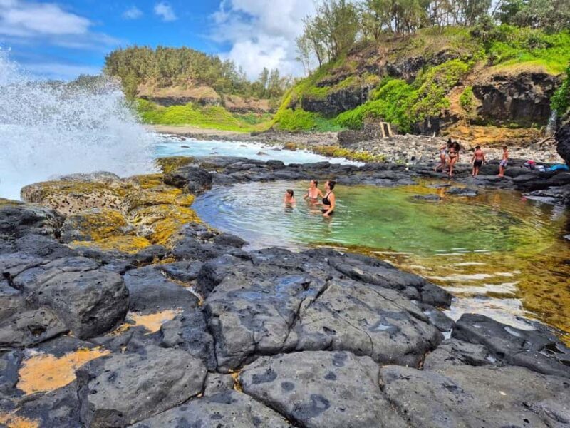 Mauritius-Wild South Coast (Gris Gris) - Key Points