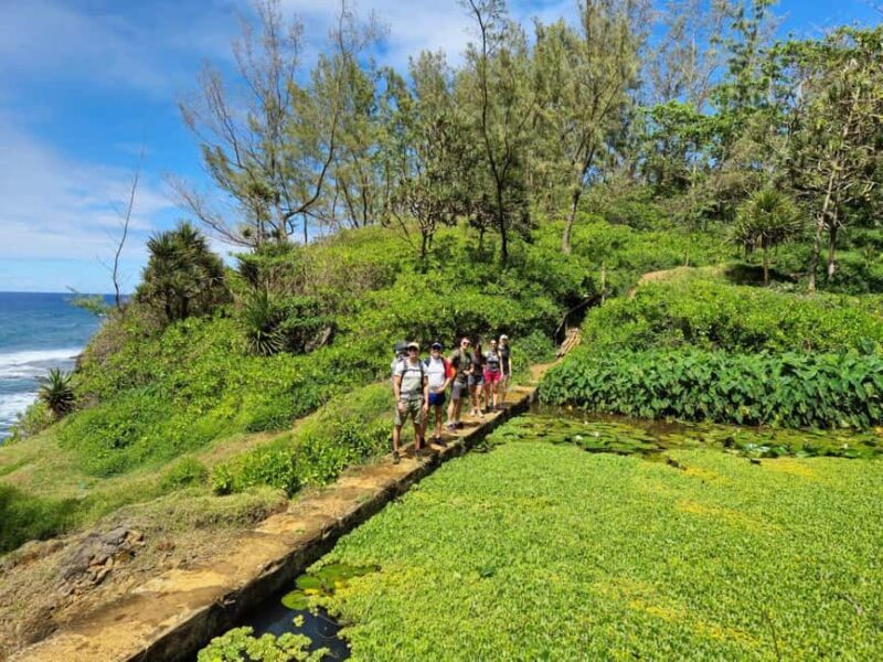 Mauritius-Wild South Coast (Gris Gris) - Final Thoughts
