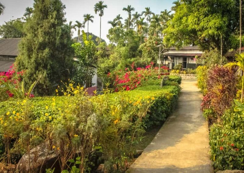 Mawlynnong: Guided Day Trip from Shillong with Hotel Pickup - Visiting the Living Root Bridges