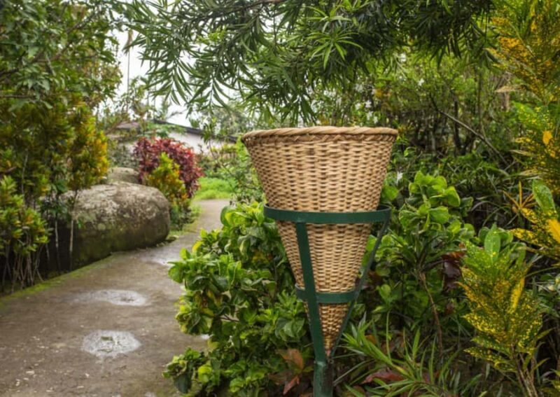 Mawlynnong: Guided Day Trip from Shillong with Hotel Pickup - Cultural Encounters and Local Life