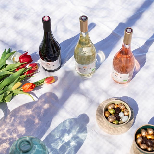 may-2-2025-workshop-at-chateau-lescarelle-introduction-to-wine-tasting