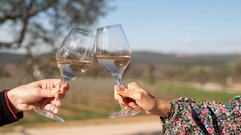 may-2-2025-workshop-at-chateau-lescarelle-introduction-to-wine-tasting