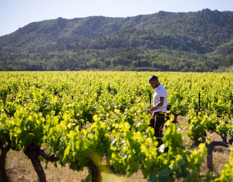 may-2-2025-workshop-at-chateau-lescarelle-introduction-to-wine-tasting
