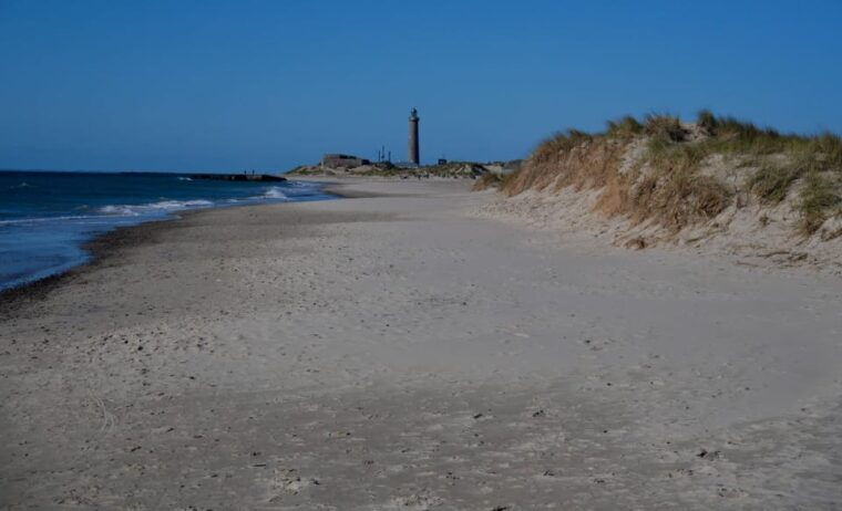 may-2025-denmark-birding-tour-with-skagen-fuglefestival