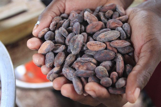 mayan-chocolate-making-waterfall-swimming-from-placencia