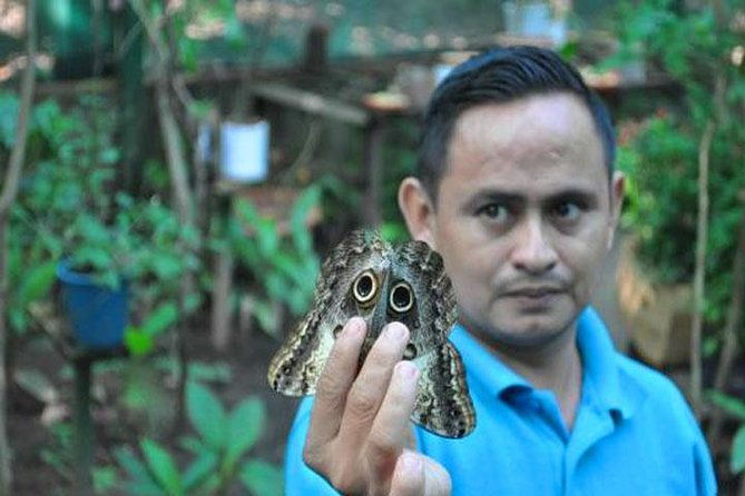 mayan-eden-eco-park-chocolate-factory-transfer