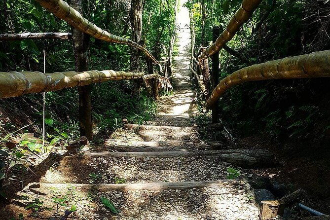 mayfield-falls-blue-hole-ricks-cafe-tours-with-lunch-drink