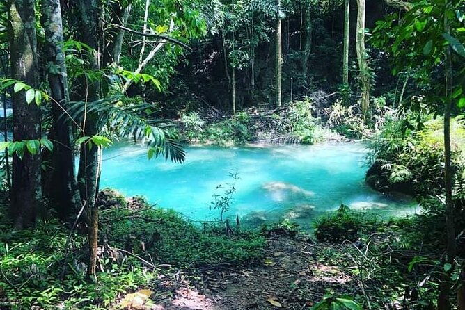 mayfield-falls-blue-hole-ricks-cafe-tours-with-lunch-drink