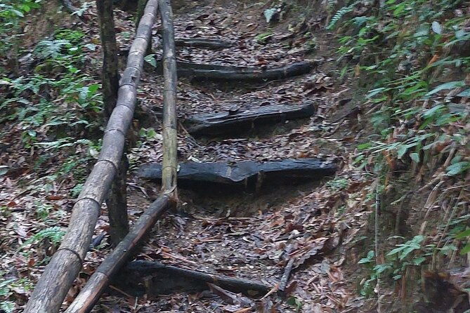 mayfield-falls-nature-walk