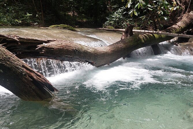 mayfield-falls-nature-walk