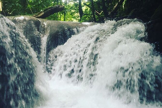 mayfield-falls-tour-with-lunch-drink-entry-transporiginal