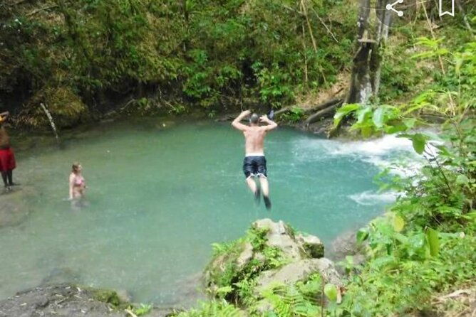 mayfield-falls-tour-with-lunch-drink-entry-transporiginal