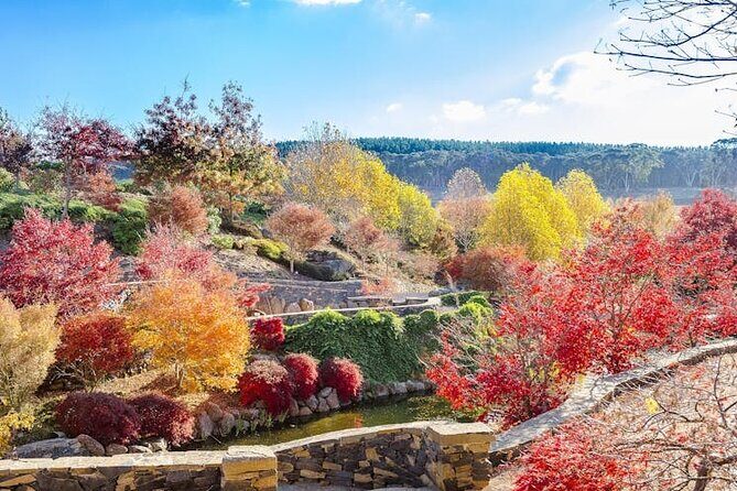 Mayfield Gardens Autumn Tour from Sydney with Echo Point Stop - Detailed Itinerary Breakdown