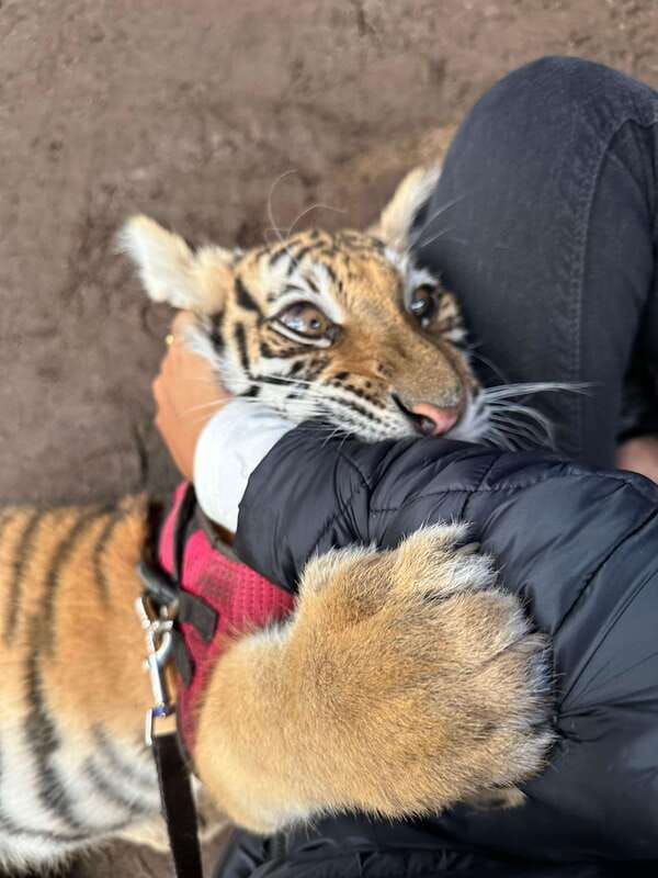 mazamitla-tour-from-guadalajara-with-mundo-aventura