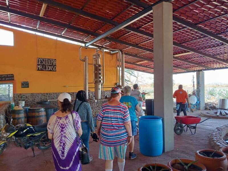 Mazatlán: Beach & Jungle ATV Tour w/ Lunch & Tequila Tasting - The Sum Up