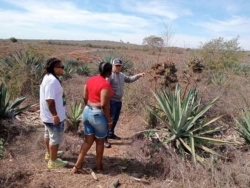 mazatlan-mezcal-factory-tour-with-tasting-and-lunch