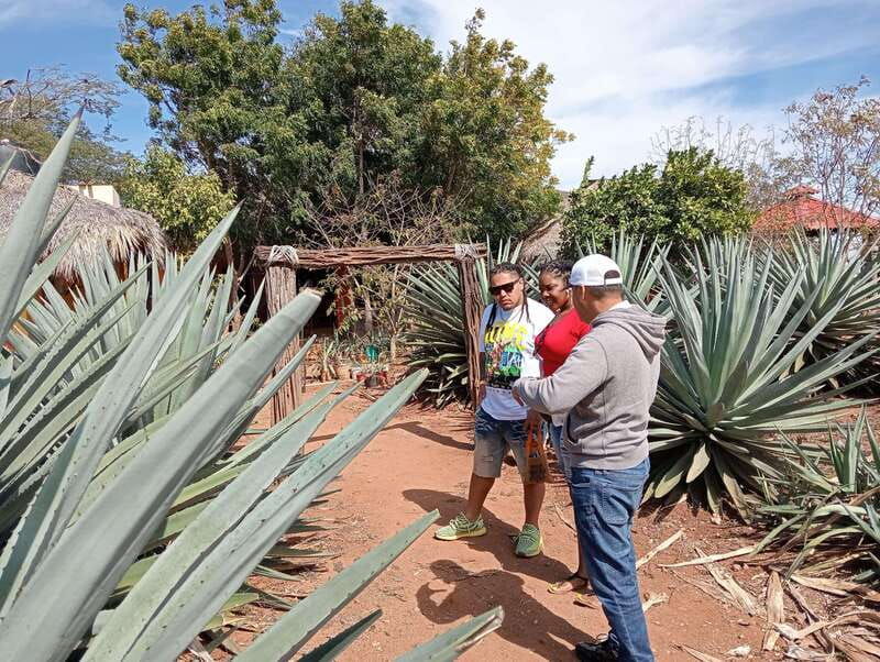 mazatlan-mezcal-factory-tour-with-tasting-and-lunch