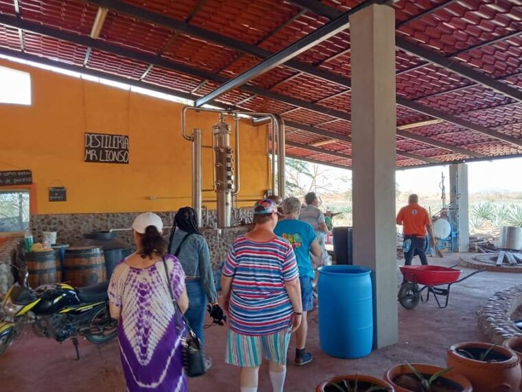 mazatlan-mezcal-factory-tour-with-tasting-and-lunch
