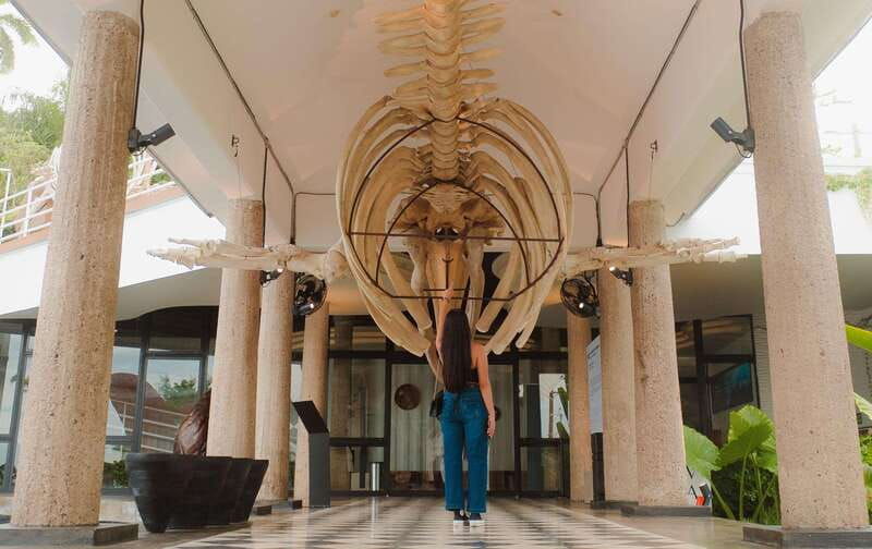 mazatlan-munba-interactive-ocean-museum-entry-ticket
