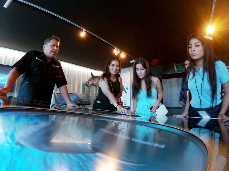 mazatlan-munba-interactive-ocean-museum-entry-ticket