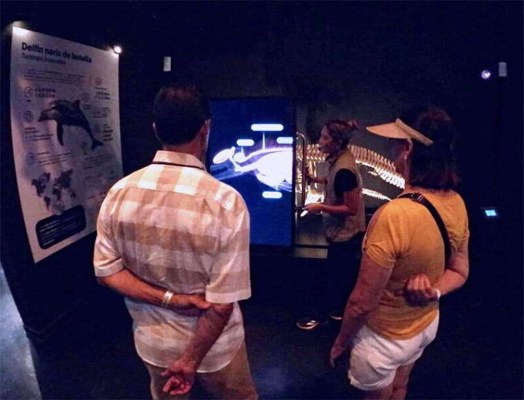 mazatlan-munba-interactive-ocean-museum-entry-ticket