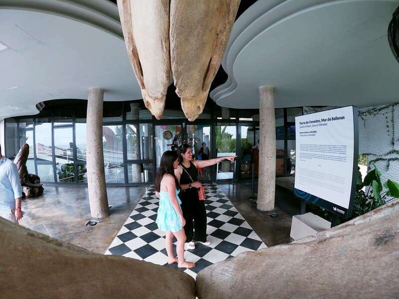 mazatlan-observatorio-1873-cultural-nature-experience