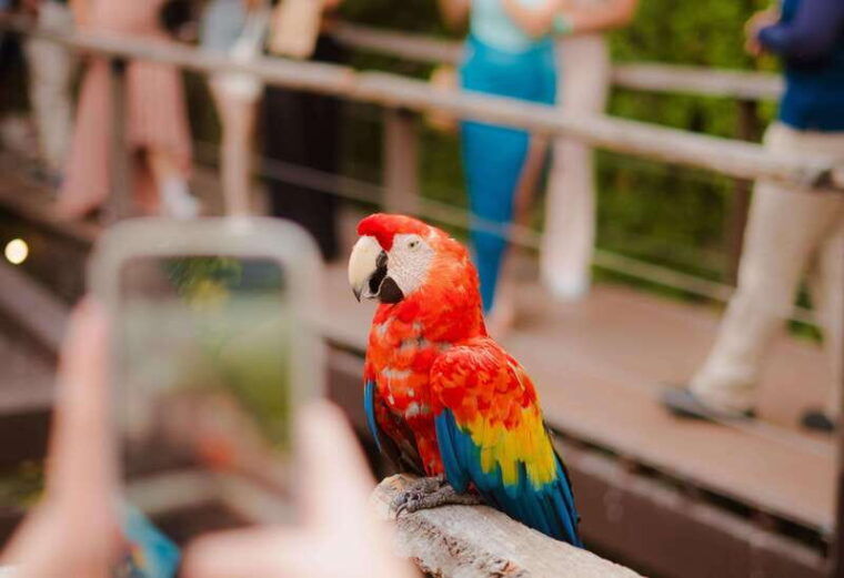 mazatlan-observatorio-1873-cultural-nature-experience