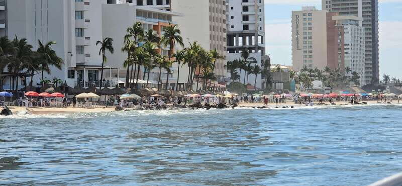 Mazatlan: Sea lions and snorkeling - Key Points  