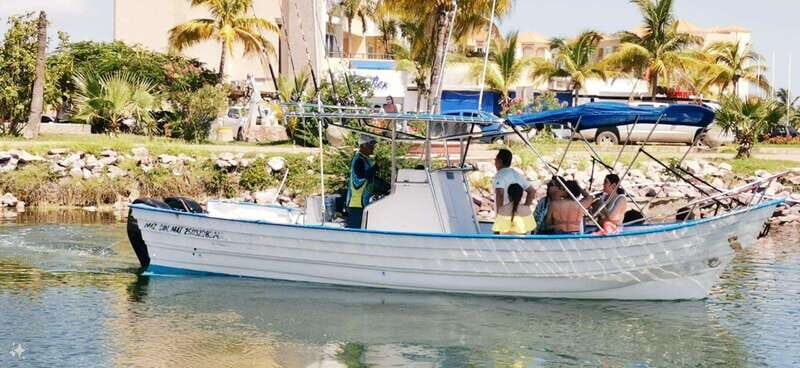 Mazatlan: Sea lions and snorkeling - Exploring Mazatlan’s Sea Lion and Snorkeling Tour  