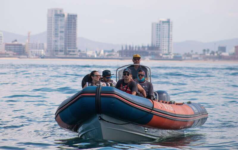 Mazatlán: Whale-Watching Boat Tour with Marine Biologist - Transportation & Logistics