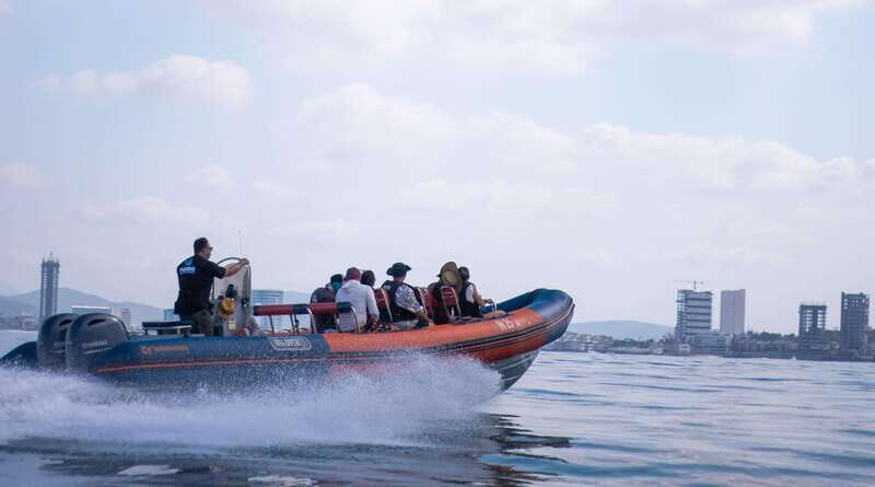 Mazatlán: Whale-Watching Boat Tour with Marine Biologist - The Experience in Detail