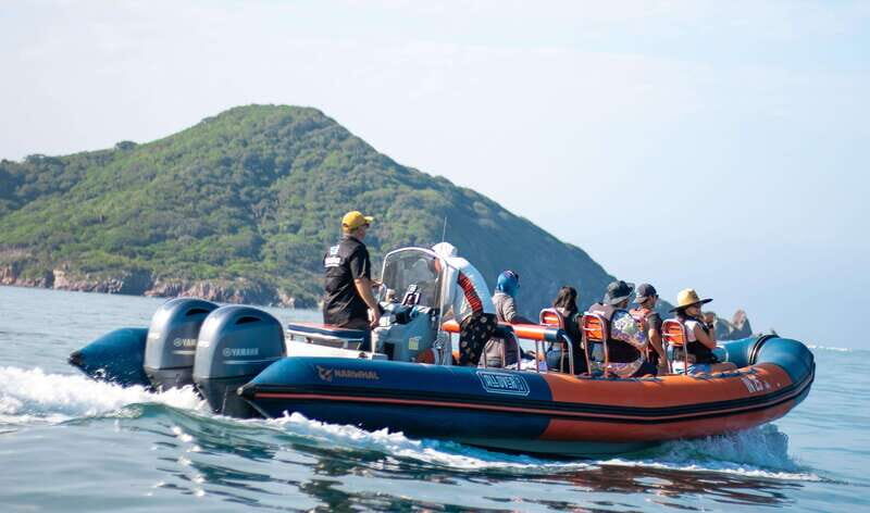 Mazatlán: Whale-Watching Boat Tour with Marine Biologist - Who Should Book This Tour?