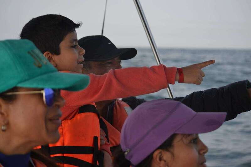 Mazatlán: Whale-Watching Boat Tour with Marine Biologist - FAQ