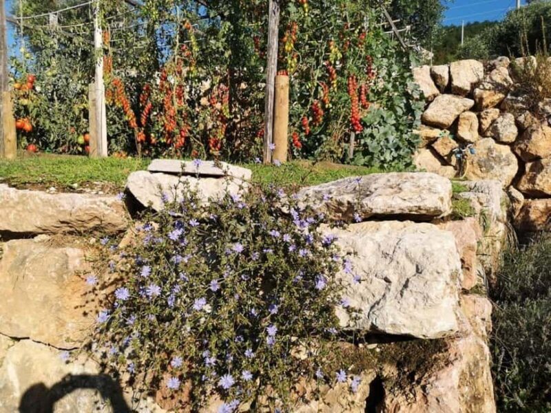 Mazzurega: Winery Tour with Tasting and Food Pairing - Final Thoughts