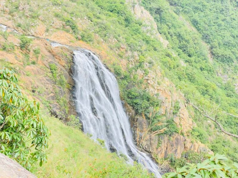 Mbabane: Malolotja Nature Reserve Hiking Tour - Key Points